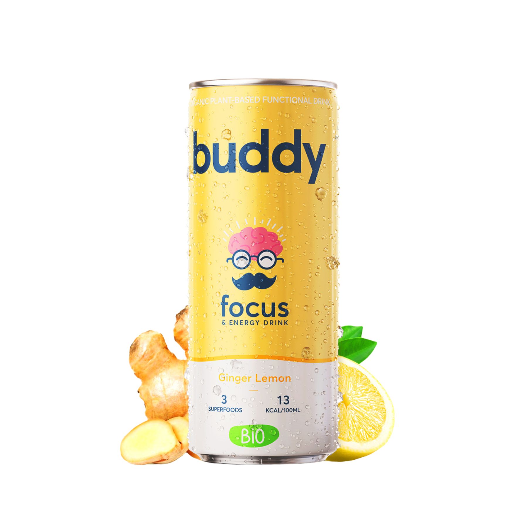 BUDDY bio drink citron gingembre 24x250ml*